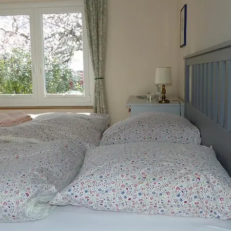 Appartement Oase Im Herzen Von Grünstadt